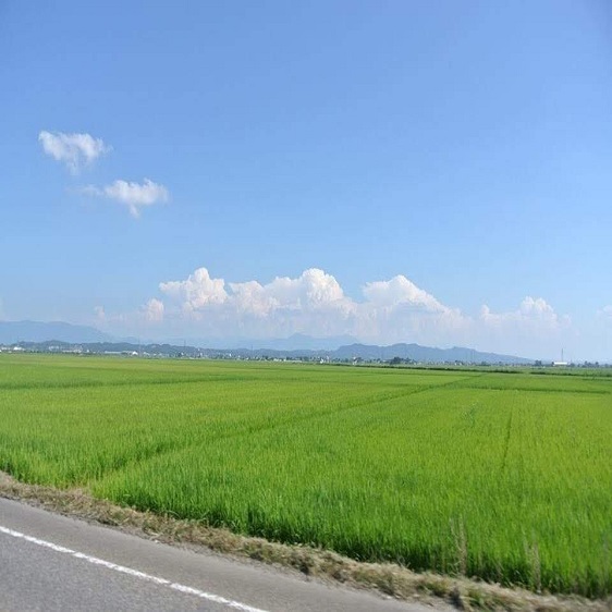 夏の空